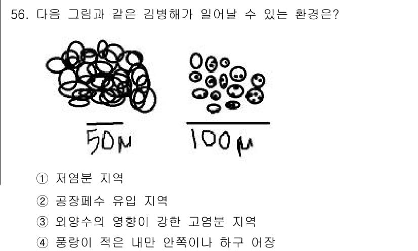 수산양식산업기사 2015년 56번 - 정답과 핵심 포인트를 검수 중인 기출문제