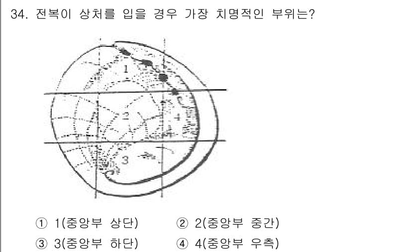 수산양식산업기사 2016년 34번 - 정답과 핵심 포인트를 검수 중인 기출문제