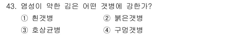 수산양식산업기사 2016년 43번 - . 흰갯병

흰갯병은 염성이 약한 김에 가장 많이 발생하는 질병으로, 저... 에 관한 핵심 기출문제