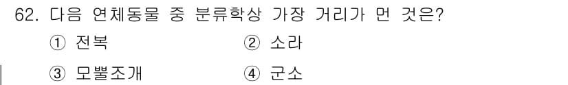 수산양식산업기사 2016년 62번 - 정답은 3번 모뿔조개입니다. 모뿔조개는 전반적으로 완만한 경사에서 살며,... 에 관한 핵심 기출문제
