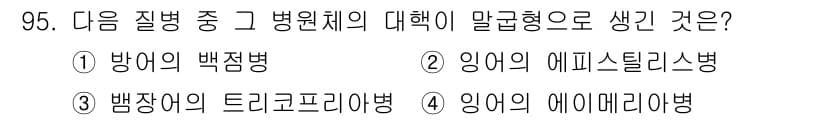 수산양식산업기사 2016년 95번 - . 이 질병은 염증성 혈관 질환으로, 인어 유사체의 발달에 영향을 미치는... 에 관한 핵심 기출문제