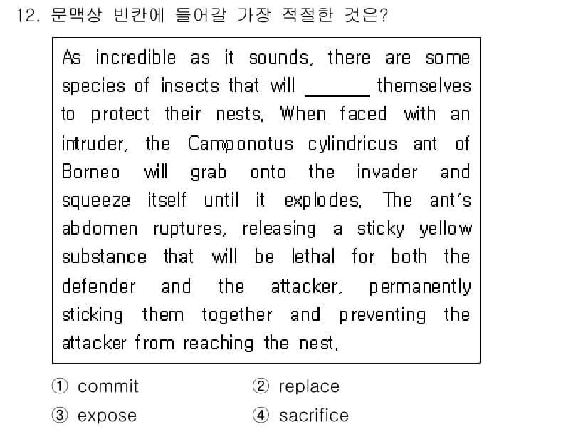 9급_지방직_공무원_서울시_영어 2016년 12번 - 정답과 핵심 포인트를 검수 중인 기출문제