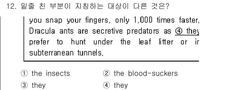 9급_지방직_공무원_서울시_영어 2019년 12번 - 정답과 핵심 포인트를 검수 중인 기출문제