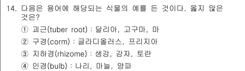 9급_지방직_공무원_서울시_재배학개론 2015년 14번 - 정답은 3번 "지하경(rhizome)"입니다. 지하경은 식물의 뿌리나 줄... 에 관한 핵심 기출문제