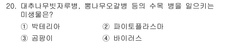 9급_지방직_공무원_서울시_조림 2018년 20번 - 정답과 핵심 포인트를 검수 중인 기출문제