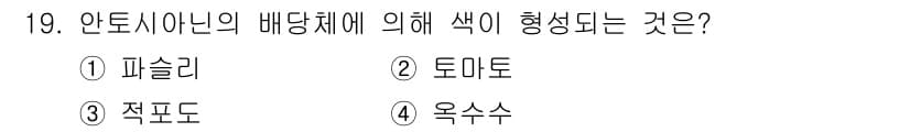 조리기능장 2017년 20번 - 정답과 핵심 포인트를 검수 중인 기출문제