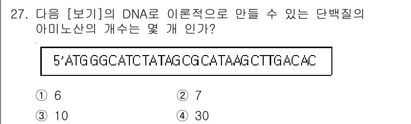 바이오화학제품제조기사 2020년 27번 - 주어진 DNA 서열을 이론적으로 단백질로 번역할 때, 코돈이 3개의 염기... 에 관한 핵심 기출문제