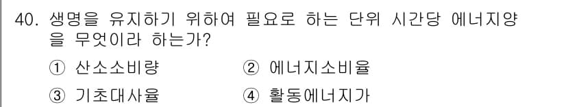 인간공학기사 2020년 40번 - 생명을 유지하기 위해 필요한 에너지 양은 기본적인 대사 활동을 위한 최소... 에 관한 핵심 기출문제