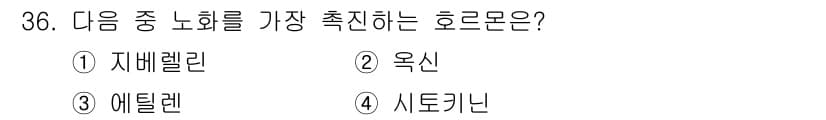 화훼장식기사 2020년 36번 - 노화 촉진에 가장 관련 깊은 호르몬은 에틸렌입니다. 에틸렌은 식물에서 자... 에 관한 핵심 기출문제