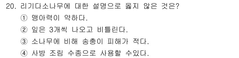 산림산업기사(구60문항) 2020년 20번 - 리기다소나무는 일반적으로 맹아력이 강한 수종으로 알려져 있습니다. 그러므... 에 관한 핵심 기출문제
