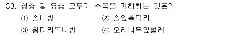 산림산업기사(구60문항) 2020년 33번 - 성충 및 유충 모두 수목을 가해하는 해충은 '오리나무잎벌레'입니다. 이 ... 에 관한 핵심 기출문제
