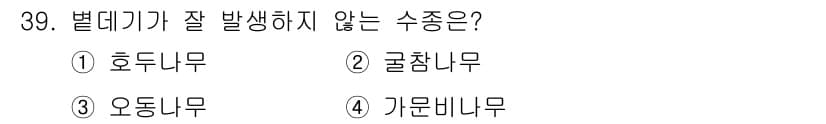 산림산업기사(구60문항) 2020년 39번 - 정답과 핵심 포인트를 검수 중인 기출문제