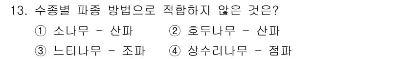산림산업기사 2020년 13번 - 수종별 파종 방법에 대한 문제에서 정답이 '2'인 이유는 호두나무가 일반... 에 관한 핵심 기출문제