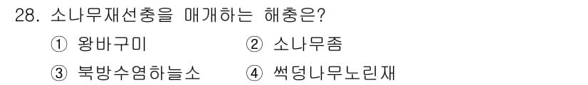 산림산업기사 2020년 28번 - 소나무 재선충을 매개하는 해충은 '북방수염하늘소'입니다. 이 해충은 소나... 에 관한 핵심 기출문제