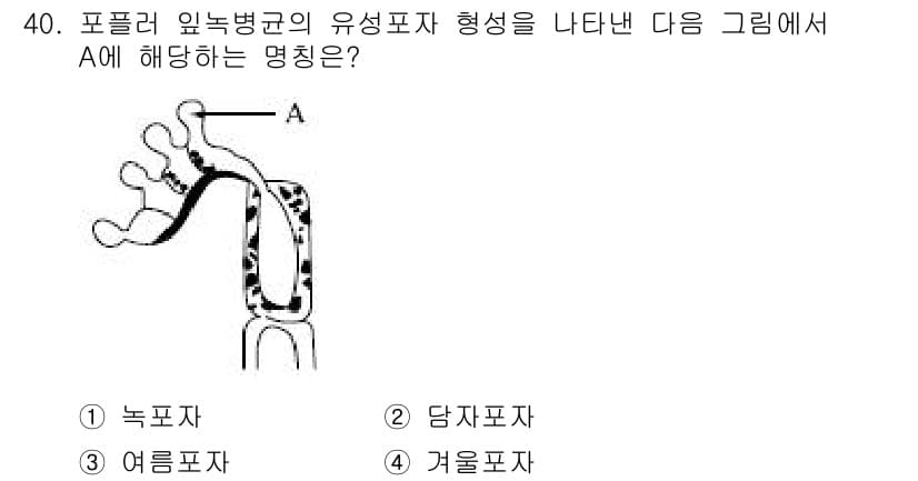 산림산업기사 2020년 40번 - 정답과 핵심 포인트를 검수 중인 기출문제