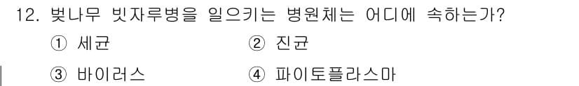 식물보호산업기사 2020년 12번 - 벚나무 빛자루병은 주로 '진균'에 의해 발생합니다. 이 병원균은 벚나무의... 에 관한 핵심 기출문제