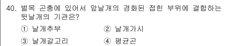 식물보호산업기사 2020년 40번 - 뒷날개는 '날개갈고리'에 결합하는 구조로, 특히 벌목 곤충에서 이 부분은... 에 관한 핵심 기출문제