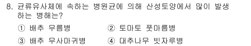 식물보호산업기사 2020년 8번 - 배추 무사귀병은 곰팡이가 원인으로, 특히 습도가 높은 조건에서 발생합니다... 에 관한 핵심 기출문제