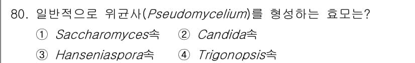 식품산업기사(구) 2020년 80번 - Pseudomycelium은 일반적으로 Candida 속의 곰팡이에 의해... 에 관한 핵심 기출문제