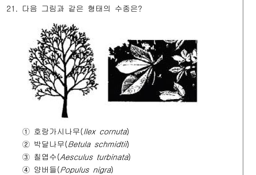 조경산업기사 2020년 21번 - 정답과 핵심 포인트를 검수 중인 기출문제
