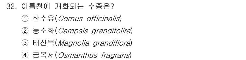 조경산업기사 2020년 32번 - 여름철에 개화하는 수종은 '능소화(Campsis grandifloria)... 에 관한 핵심 기출문제