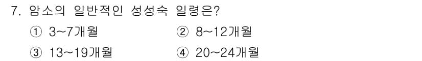 축산산업기사 2020년 7번 - 암소의 일반적인 성적수 기간은 보통 8~12개월입니다. 이 시기는 암소가... 에 관한 핵심 기출문제