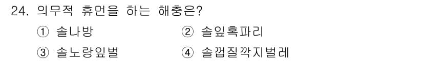 산림기사 2020년 24번 - 정답과 핵심 포인트를 검수 중인 기출문제