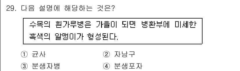 산림기사 2020년 29번 - 이 설명은 수목의 벌목과 관련된 내용을 다루고 있습니다. 수목의 관리 과... 에 관한 핵심 기출문제