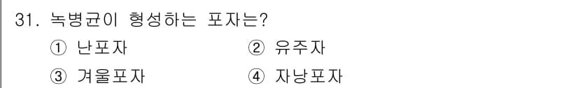 산림기사 2020년 31번 - 정답과 핵심 포인트를 검수 중인 기출문제