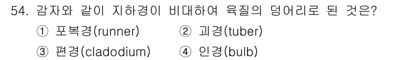 생물분류기사(동물) 2020년 54번 - 정답과 핵심 포인트를 검수 중인 기출문제