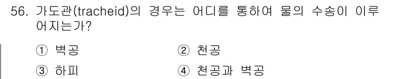 생물분류기사(동물) 2020년 56번 - 가도관(tracheid)은 주로 식물의 물과 영양소 수송을 담당하는 세포... 에 관한 핵심 기출문제