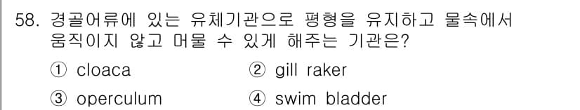생물분류기사(동물) 2020년 58번 - 정답은 '4'번입니다. 수영 납작기(수조) 즉, swim bladder는... 에 관한 핵심 기출문제