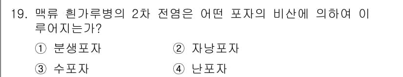 식물보호기사 2020년 19번 - 맥류 흰가루병의 2차 전염은 주로 분생포자에 의해 이루어집니다. 분생포자... 에 관한 핵심 기출문제
