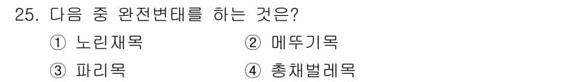 식물보호기사 2020년 25번 - 정답과 핵심 포인트를 검수 중인 기출문제