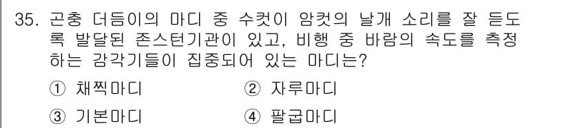 식물보호기사 2020년 35번 - 비행 중 바람의 속도를 측정하는 감각기관이 집중되어 있는 마디는 '팔굽마... 에 관한 핵심 기출문제