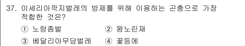 식물보호기사 2020년 37번 - 정답과 핵심 포인트를 검수 중인 기출문제