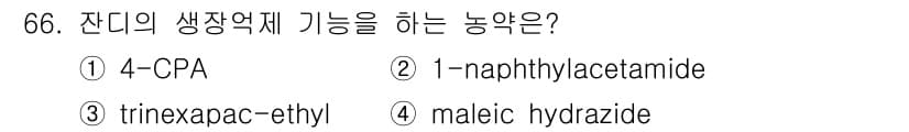 식물보호기사 2020년 66번 - 잔디의 생장억제 기능을 하는 농약은 trinexapac-ethyl입니다.... 에 관한 핵심 기출문제