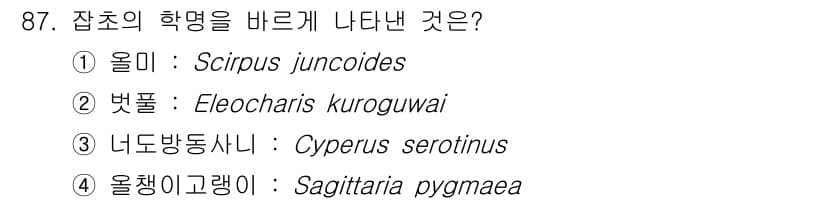 식물보호기사 2020년 87번 - 문제에서 '너도방동사니'에 해당하는 학명을 물어보고 있습니다. 'Cype... 에 관한 핵심 기출문제