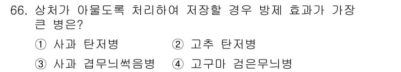 종자기사 2020년 66번 - 이 문제에서 '고구마 검은무늬병'이 정답인 이유는 이 병이 상처에 매우 ... 에 관한 핵심 기출문제