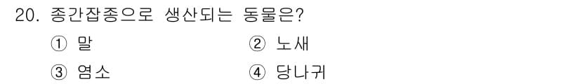 축산기사 2020년 20번 - 정답과 핵심 포인트를 검수 중인 기출문제