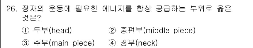 축산기사 2020년 26번 - 정자의 운동에 필수적인 에너지를 공급하는 부분은 주로 중편부(middle... 에 관한 핵심 기출문제