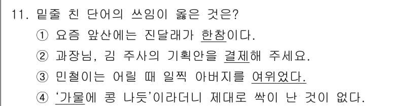 9급_지방직_공무원_국어 2016년 11번 - 정답과 핵심 포인트를 검수 중인 기출문제
