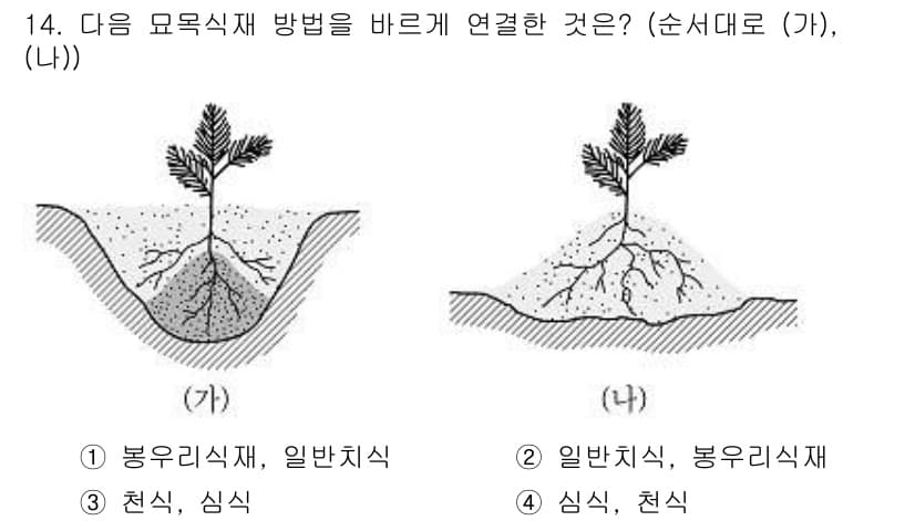 9급_지방직_공무원_조림 2020년 14번 - 문제의 (가)와 (나) 그림에서 식재 방식이 다릅니다. (가)는 뿌리와 ... 에 관한 핵심 기출문제