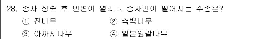 임업종묘기능사 2015년 28번 - 종자가 성숙 후 인편이 열리고 종자만이 떨어지는 수종은 일본잎갈나무입니다... 에 관한 핵심 기출문제