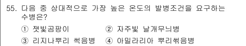 임업종묘기능사 2015년 55번 - 정답과 핵심 포인트를 검수 중인 기출문제