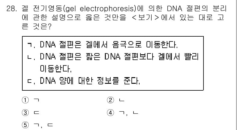 변리사_1차(3교시) 2020년 28번 - 겔 전기영동에서 DNA 절편은 전기장에 의해 크기에 따라 분리됩니다. 짧... 에 관한 핵심 기출문제