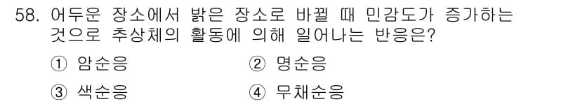 디지털인쇄산업기사 2019년 58번 - 정답과 핵심 포인트를 검수 중인 기출문제
