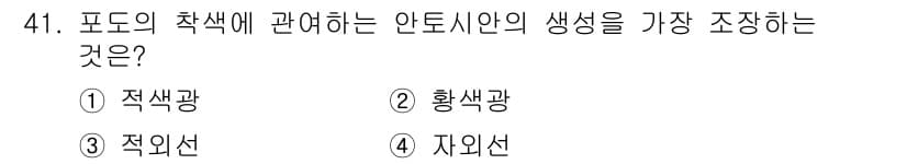 시설원예기사 2021년 41번 - 안토시안의 생성을 가장 조장하는 색온도는 '자외선'입니다. 자외선은 식물... 에 관한 핵심 기출문제