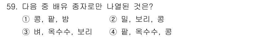 시설원예기사 2021년 59번 - 정답인 3번 '버, 옥수수, 보리'는 모두 식물의 종류 중 곡물로 분류되... 에 관한 핵심 기출문제