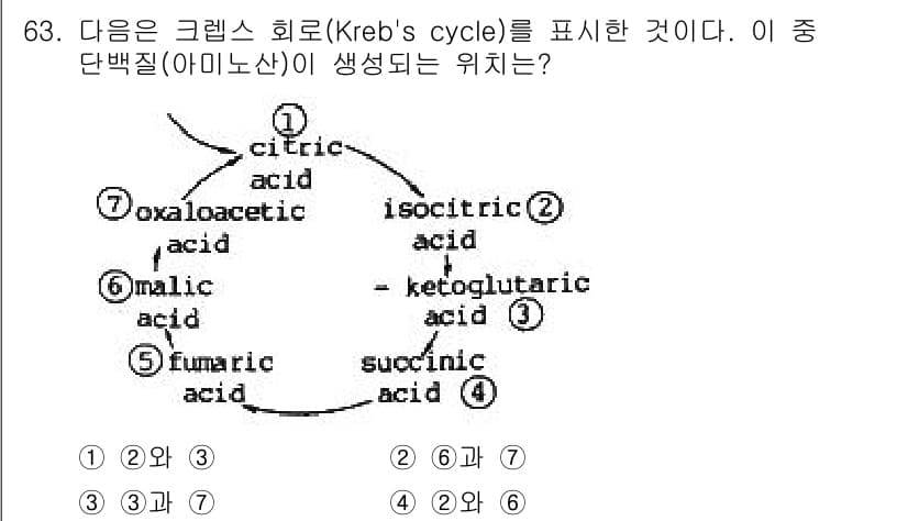 시설원예기사 2021년 63번 - 단백질의 구성 성분인 아미노산은 크렙스 회로에서 말산에서 생성됩니다. 즉... 에 관한 핵심 기출문제